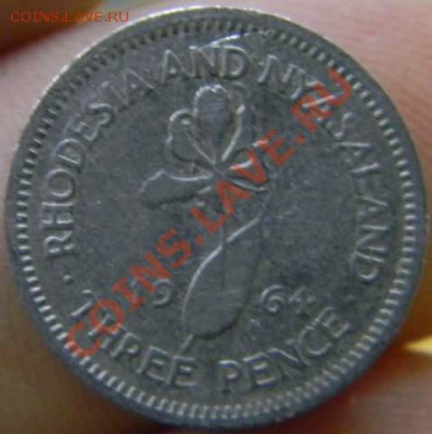 3 пенса родезия и ньясаленд 1964г. - DSCN3899_thumb