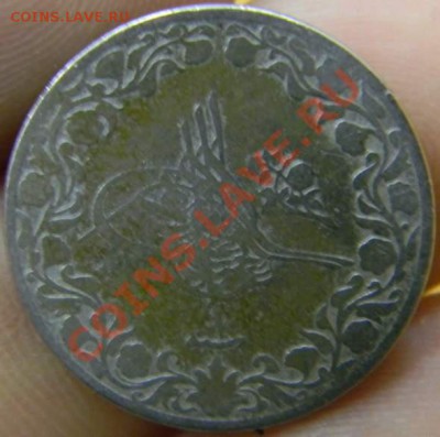 10 кирш Египет - DSCN3904_thumb
