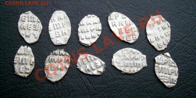 Чешуя Петра-10 штук - PB180003.JPG