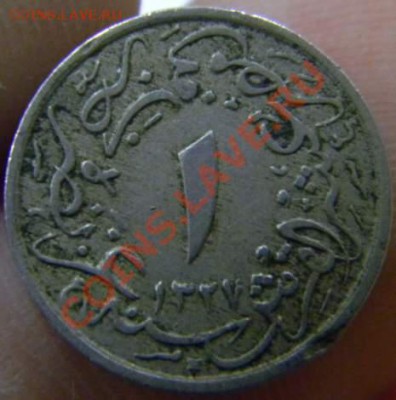 10 кирш Египет - DSCN3949_thumb