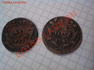 Деньга 1731г. (одна черта над голом), деньга, отл. 1737г. - IMG_20121122_104413