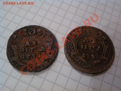 Деньга 1731г. (одна черта над голом), деньга, отл. 1737г. - IMG_20121122_104418
