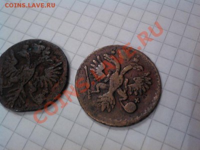 Деньга 1731г. (одна черта над голом), деньга, отл. 1737г. - IMG_20121122_104428