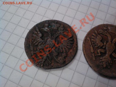 Деньга 1731г. (одна черта над голом), деньга, отл. 1737г. - IMG_20121122_104434
