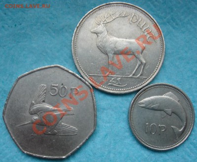 Ирландия: фунт, 50 и 10 пенсов до 27.11.12, 22-00 - Ирландия 3 монеты-1.JPG