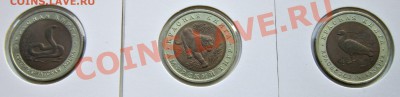 Красная книга -1992 г. до 28.11.12. 22.00 Мскв. - IMG_4702.JPG