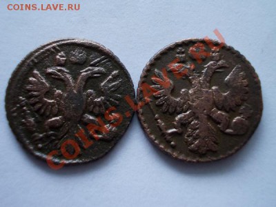 Полушки 1734г.перечекан+1735г. до 25.11.12г. в 21:00 МСК - 2