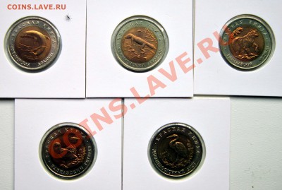 Красная книга 1993, состояние до  28.11.12. 22.00 Мскв. - IMG_4697.JPG