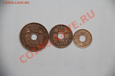 Восточная Африка 10с,5с,1с - IMG_6485 (Medium).JPG