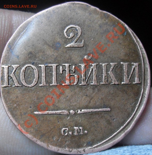2к1839см оценка - SDC10983.JPG