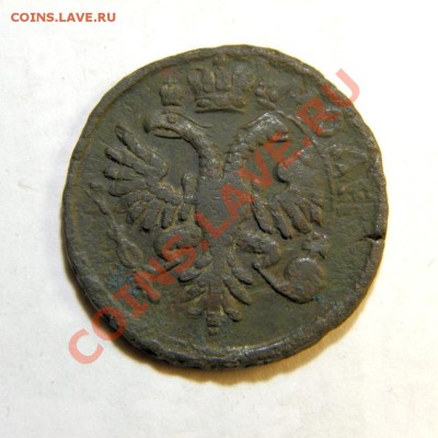 5 коп. 1723 г. денга 1731 г. (переч.)предпродажная оценка - PB230035.1