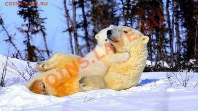 Познакомлюсь с девушкой .... - 46791