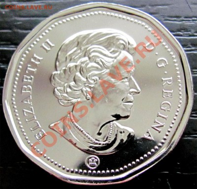 U34 Канада 1$ 2008 цветн.хоккей Vancouver 30.11 до 22°° - U34 1$ 2008 Vancouver_2