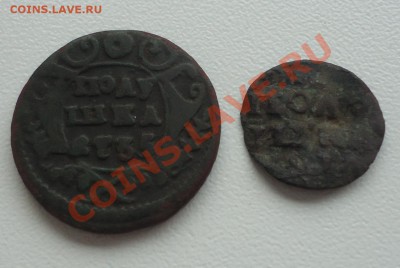 2 полушки-Анна Иоановна и Пётр до 29.11.12г до 22-00 по МСК - DSC05047_cr