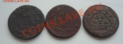Денги-1740,43,47ггАнна Иоановна,Елизавета  до 29.11.12г - DSC05040_cr