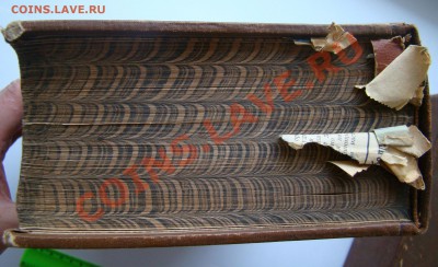  Оценка... - DSC04119.JPG