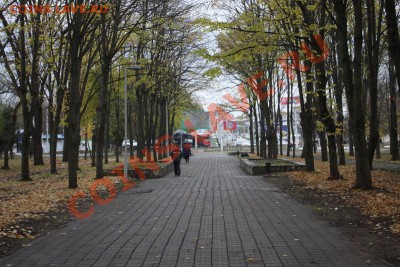 Краснодарская Роща Самая Лучшая Роща в Мире - IMG_9711.JPG