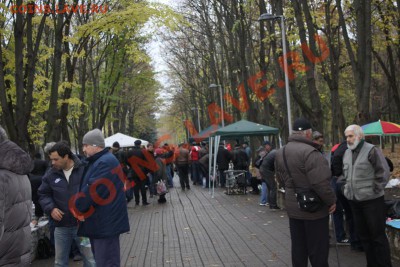 Краснодарская Роща Самая Лучшая Роща в Мире - IMG_9712.JPG