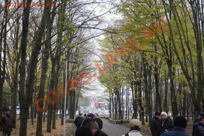 Краснодарская Роща Самая Лучшая Роща в Мире - IMG_9721.JPG