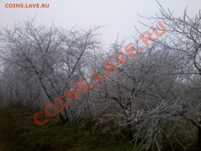 ФОТО - просто фото. Те что получились удачными. - 2012-11-17 13.58.20