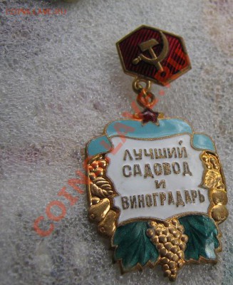 Лучший садовод и виноградарь тм 21.11 в 21-00 мск - Роща 25.11 027.JPG