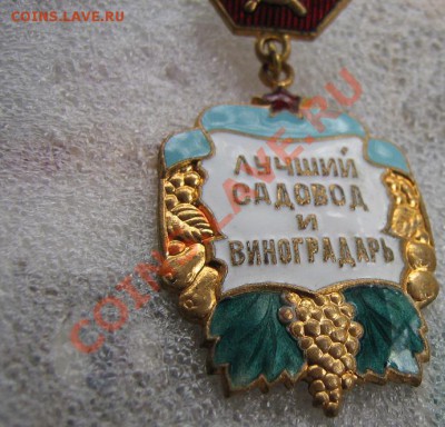 Лучший садовод и виноградарь тм 21.11 в 21-00 мск - Роща 25.11 029.JPG