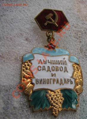 Лучший садовод и виноградарь тм 21.11 в 21-00 мск - Роща 25.11 030.JPG