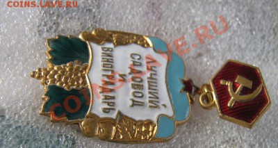 Лучший садовод и виноградарь тм 21.11 в 21-00 мск - Роща 25.11 031.JPG