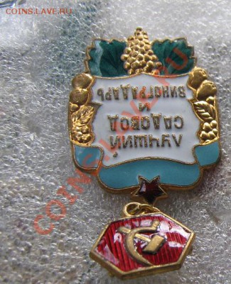 Лучший садовод и виноградарь тм 21.11 в 21-00 мск - Роща 25.11 032.JPG