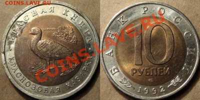 10р. 1992 Краснозобая Казарка до 29.11.2012 22-00 (повторно) - КраснозобаяКазарка
