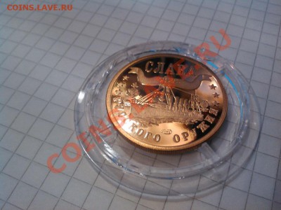 1 марка, 2004г., северный анклав России, пруф. до 29.11.12г. - IMG_20121126_152026