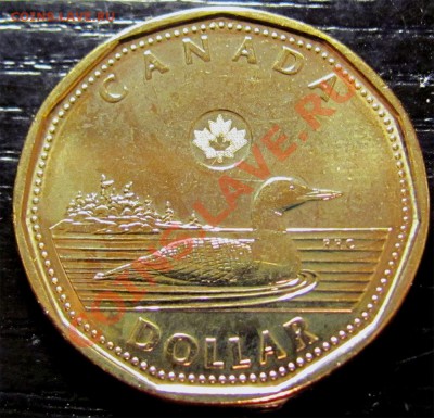 U46 Канада 1$ 2012 New Generation Loon UNC 02.12 в 22°° - U46 1$ 2012_2