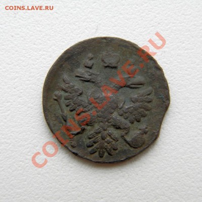 полушка 1737 г.(орел в перьях) до 30.11.12. в 22.00 мв - PB270088.1