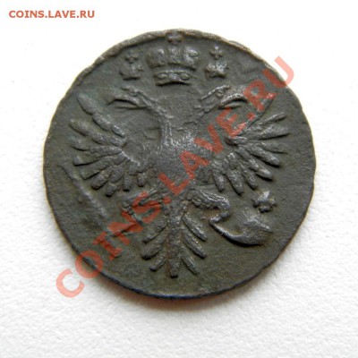 денга 1731 г.(орел в перьях) до 30.11.12. в 22.00 мв - PB270048.1
