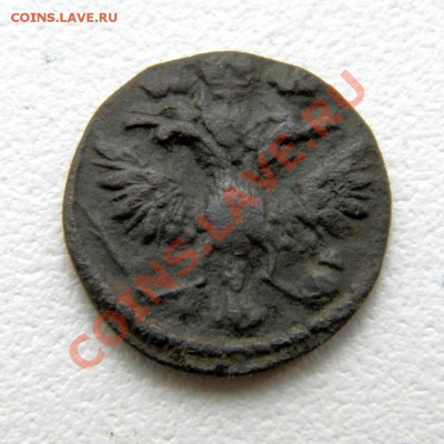 полушка 1709 г.ВРП 1719 г.(без мон. дв.)предпродажная оценка - PB270073.1