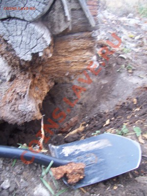 ФОТООТЧЕТЫ ПО ВЫЕЗДАМ СЕЗОН 2012 года - 100_5325.JPG