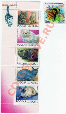 марки на оценку (спорт, космос, животные, техника) - марки Россия-7-6шт-