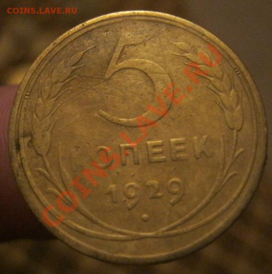 5 копеек 1929г.до 29.11.12г. в 23:00мск - IMG_0727.JPG