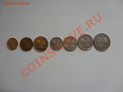 Линейка современной Польши.До 05.12.2012 в 23:59 по МСК. - Линейка Польша - 3
