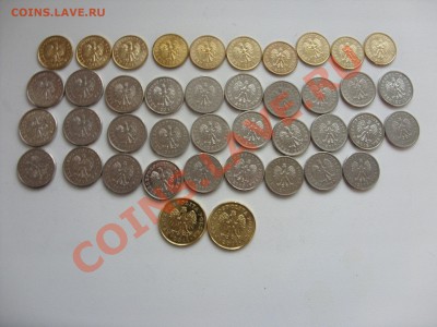 Кучка современной Польши.До 05.12.2012 в 23:59 по МСК. - Кучка Польши - 4