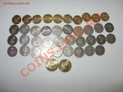 Кучка современной Польши.До 05.12.2012 в 23:59 по МСК. - Кучка Польши - 3