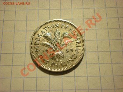 Британская Нигерия 1 шиллинг 1959 до 30.11. в 22:00 - PB270323.JPG