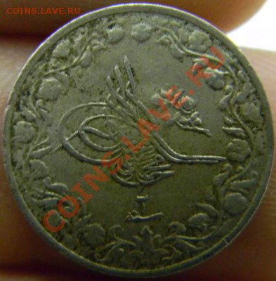 10 кирш Египет - DSCN4152_thumb