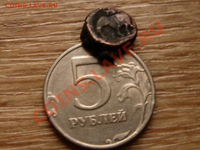 штат. Слон  до 30.11.12 в 21.00 М - IMG_6701