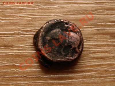 штат. Слон  до 30.11.12 в 21.00 М - IMG_6699