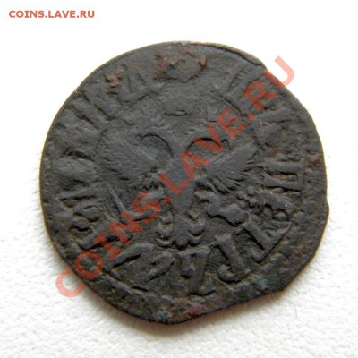 полушка 1709 г.ВРП 1719 г.(без мон. дв.)предпродажная оценка - PB280011.3