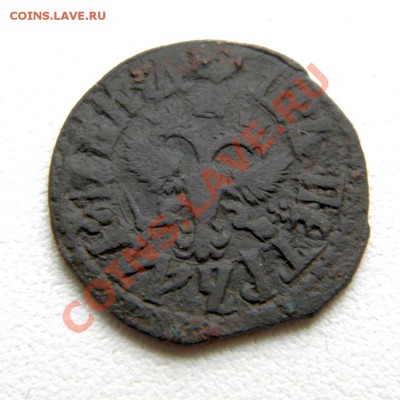 полушка 1709 г.ВРП 1719 г.(без мон. дв.)предпродажная оценка - PB280010.1
