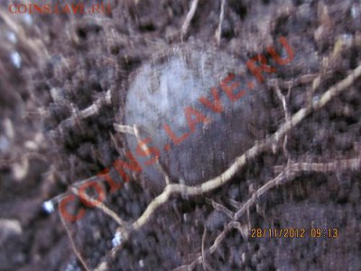 только с копа - IMG_0996.JPG