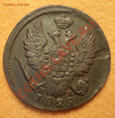 1 копейка 1829 ем ик до 02.12.12 22-00 мск - DSC01079_cr