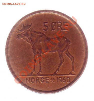 НОРВЕГИЯ.5 ОРЕ.1960.ЛОСЬ. до 05.12.12 в 22.00мск - Норвегия 5 оре 1960 лось.1.JPG